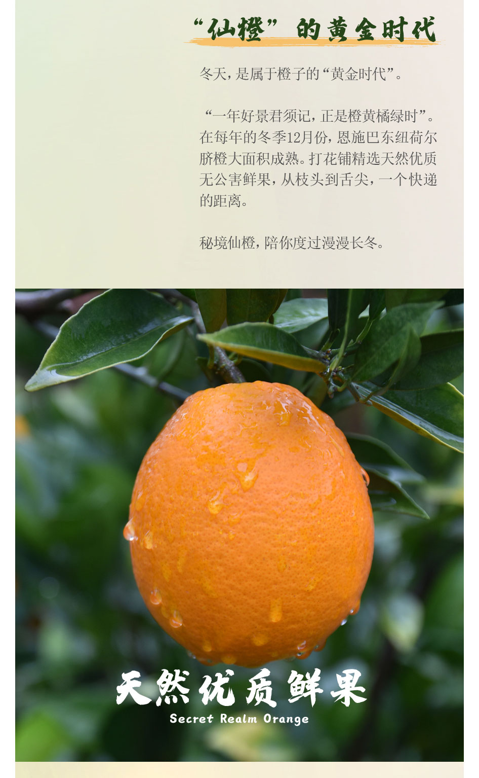 橙子前期宣傳推文_畫(huà)板-1_02.jpg
