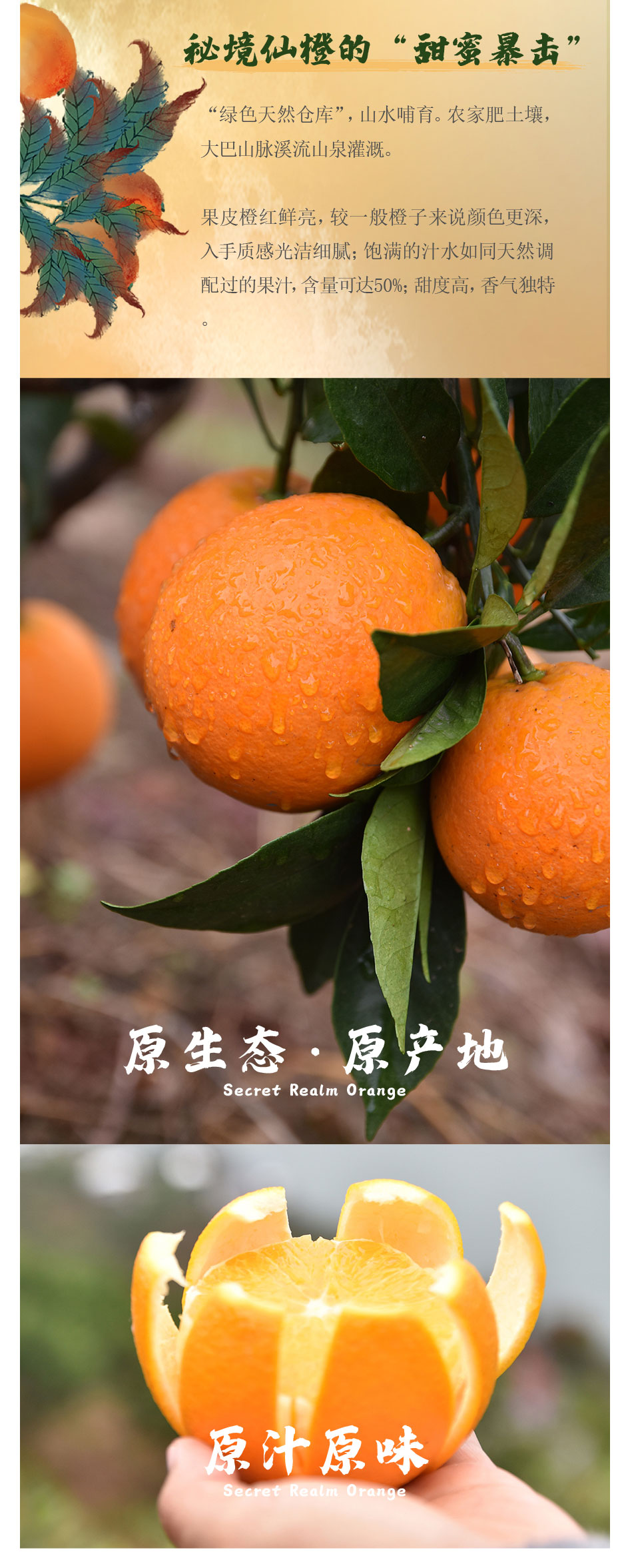 橙子前期宣傳推文_畫(huà)板-1_04.jpg